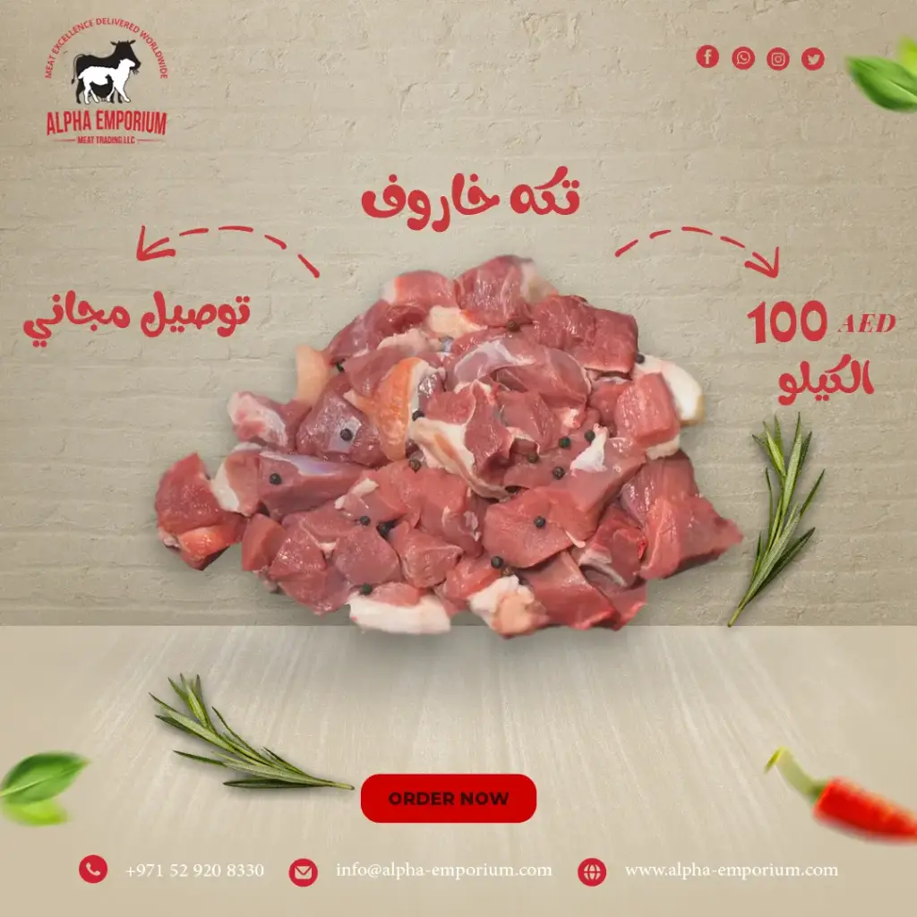 LAMB TIKKA
