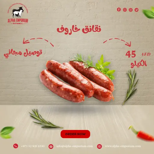 نقانق